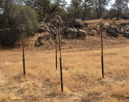 The cake pans were hung on poles to gather dust samples.