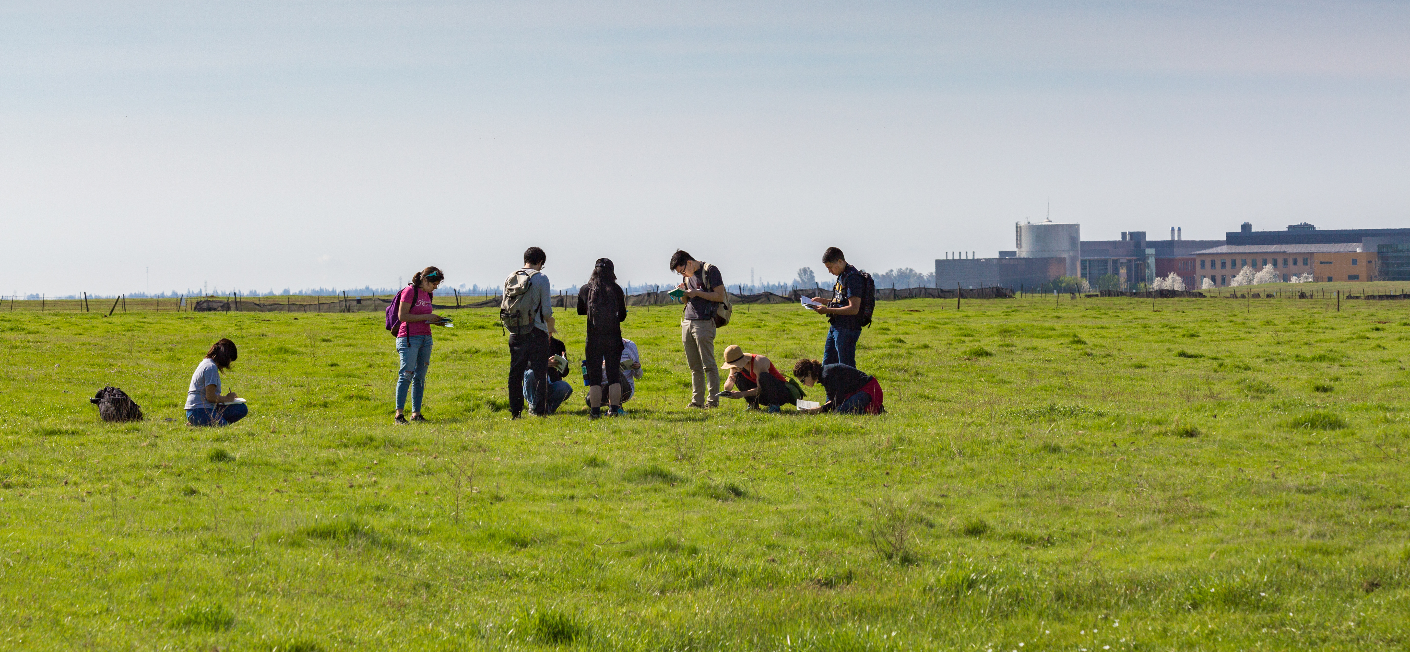 Individuals at the vernal pools natural reserve