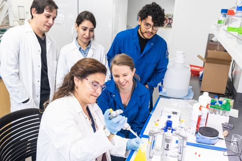 De Alba Lab