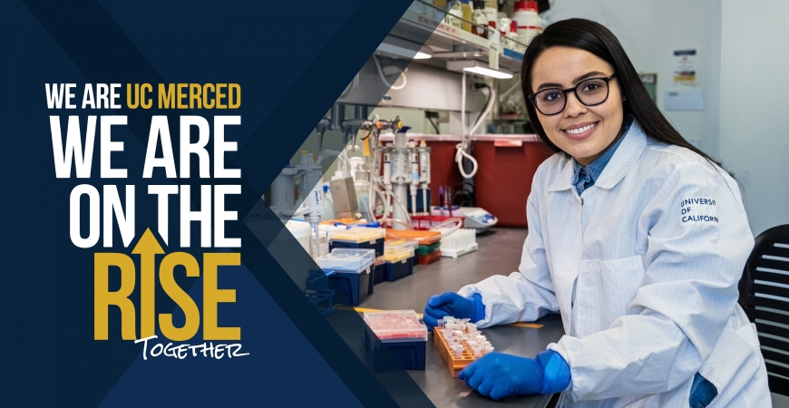 Ph.D. student lab