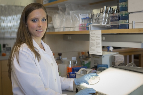 Systems biology phd thesis